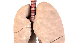 Animation showing healthy and diseased lungs.